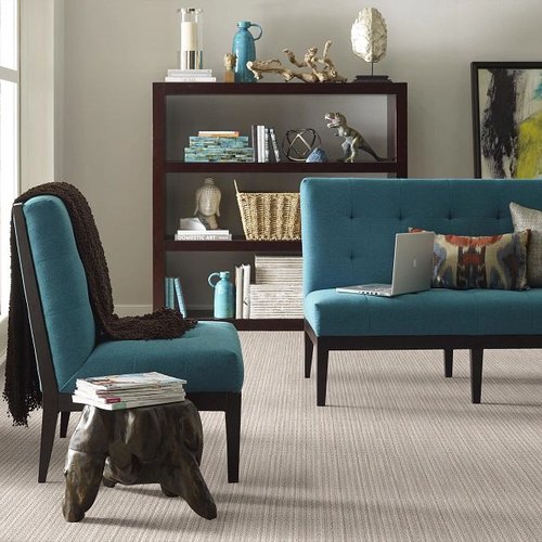 Caress Carpets By Shaw In A Living Room